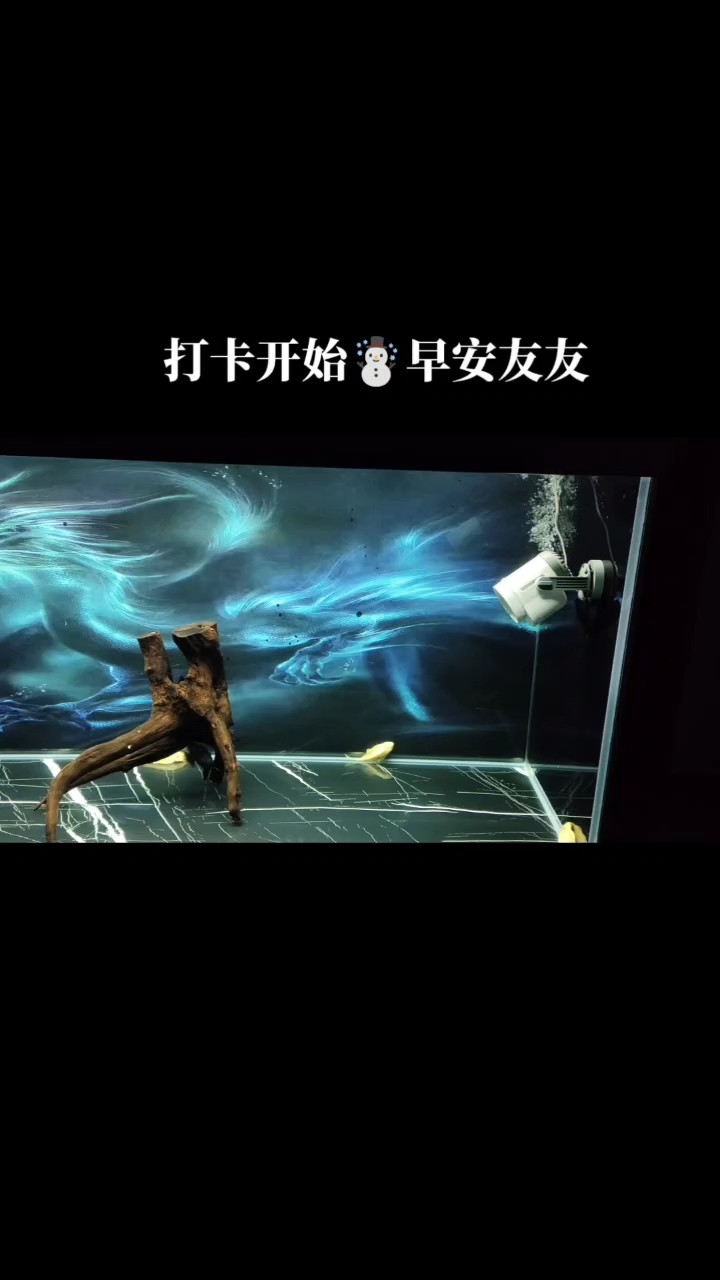 新的一天新的開始！開啟打螺絲模式[aini][aini][aini] 新的一天新的開始！開啟打螺絲模式[aini][aini][aini] 龍魚論壇