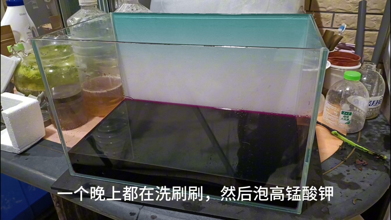 今天淘了三個缸……
