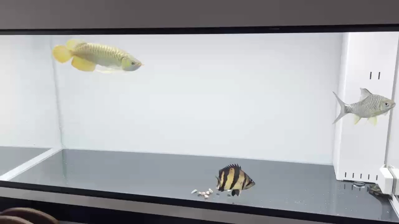 尷尬