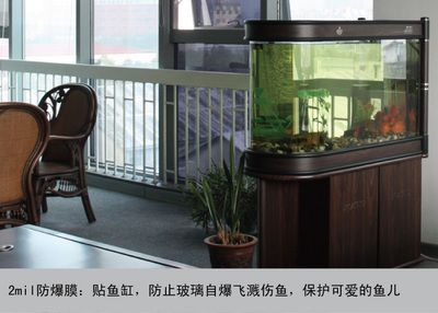玻璃魚缸會自爆嗎為什么：玻璃魚缸自爆原因及預防措施魚缸爆裂原因及預防措施 玻璃魚缸會自爆嗎為什么：玻璃魚缸自爆原因及預防措施魚缸爆裂原因及預防措施 魚缸百科 第1張