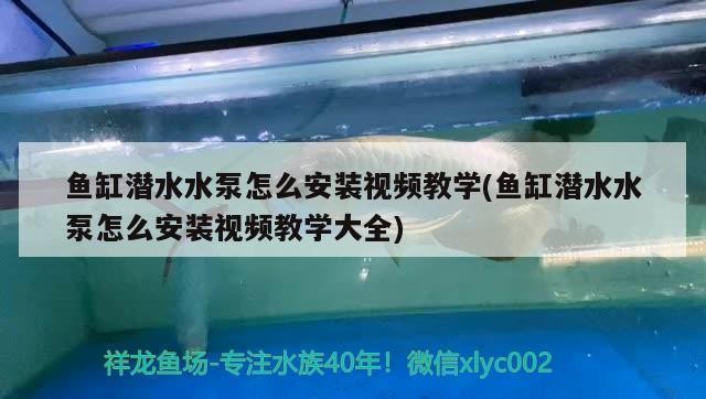 晉江市陳埭鎮(zhèn)龍騰水族館（晉江市陳埭鎮(zhèn)龍騰水族館地址）