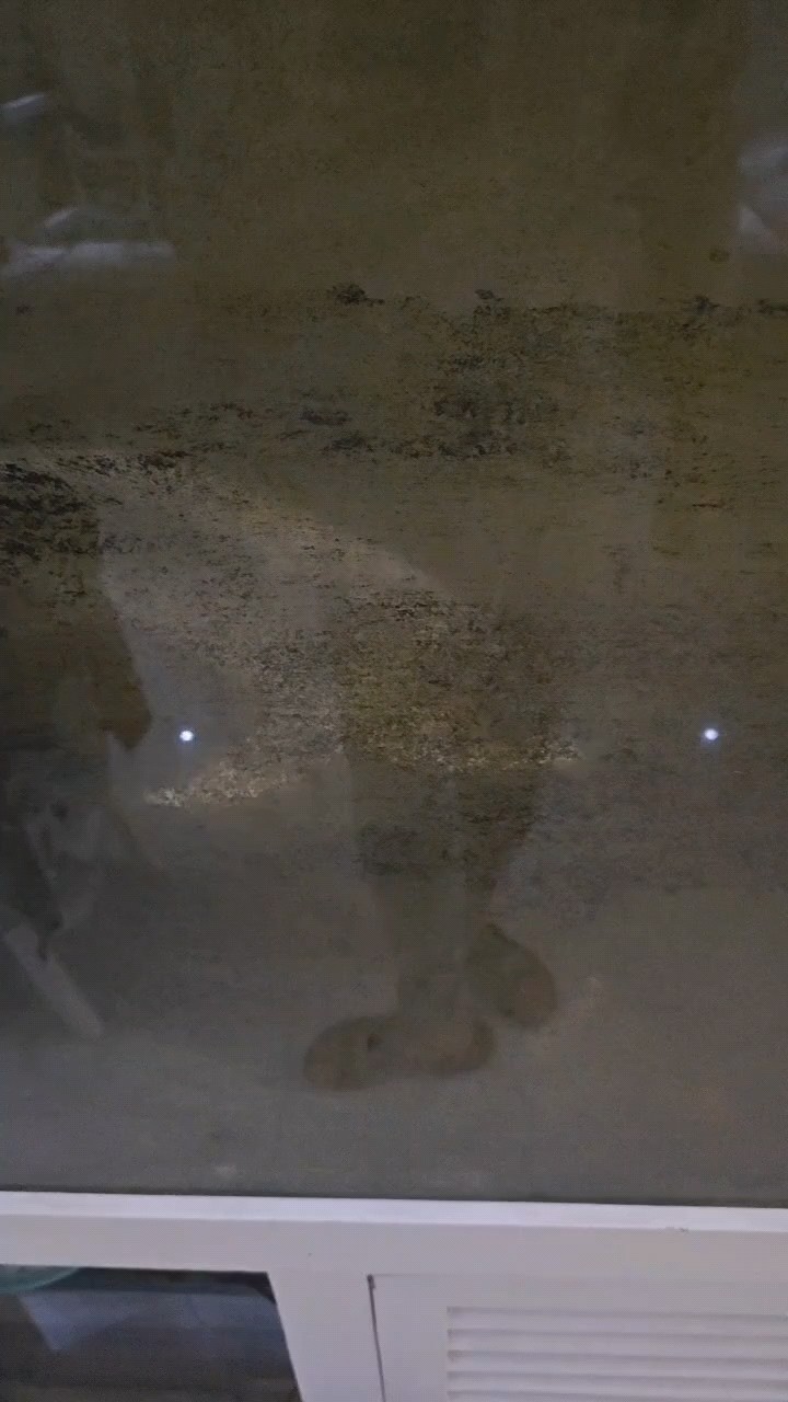 餓了
