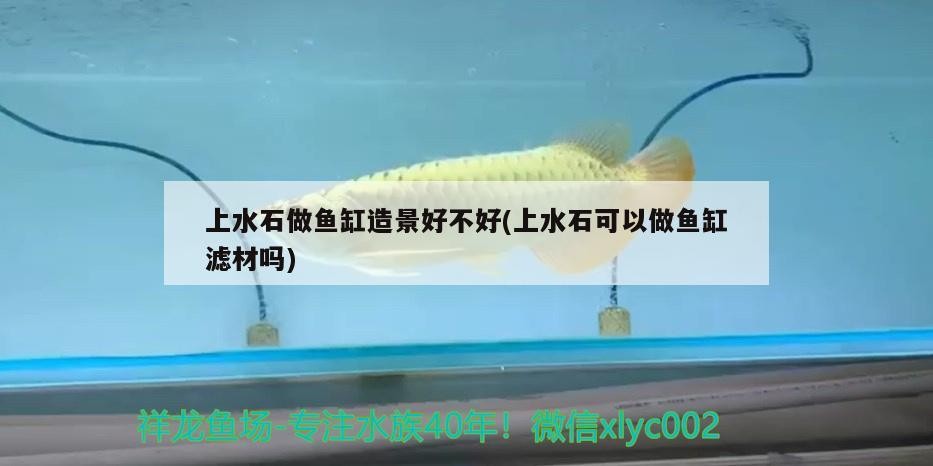 上水石做魚(yú)缸造景好不好(上水石可以做魚(yú)缸濾材嗎)