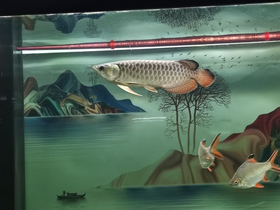 記錄你的成長