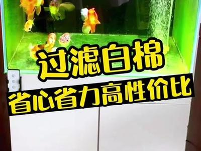 高平市新建路玉琴水族館（高平市新建路玉琴水族館電話）