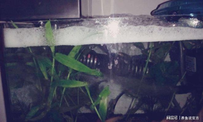 大型魚缸粘好了以后幾天能使用啊：大型魚缸粘好后可以使用的具體時間取決于多種因素 大型魚缸粘好了以后幾天能使用啊：大型魚缸粘好后可以使用的具體時間取決于多種因素 魚缸百科 第4張