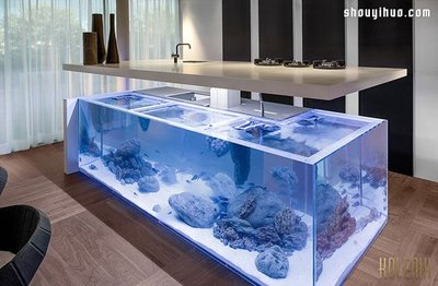 永定縣育泉水族店（永定縣育泉水族店電話）