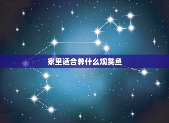 十大觀賞魚推薦