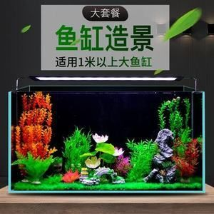大魚缸布景效果圖 簡單好看：魚缸造景基礎知識
