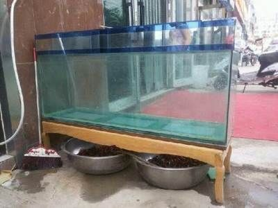 蒲城縣天正花卉禮品交易中心（蒲城縣天正花卉禮品交易中心地址）