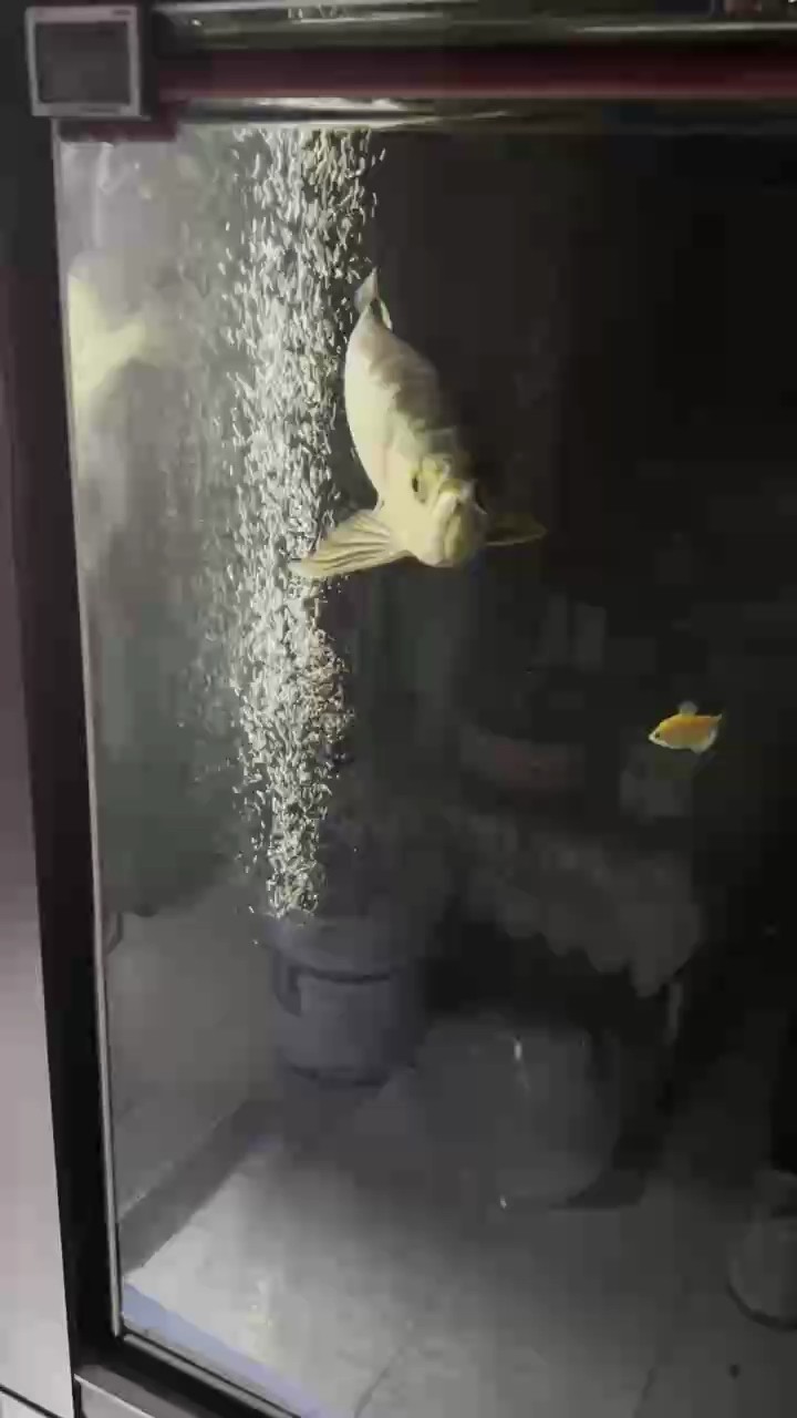 過水完畢