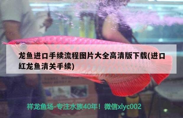 森森hj532安裝視頻（森森hj532安裝圖）