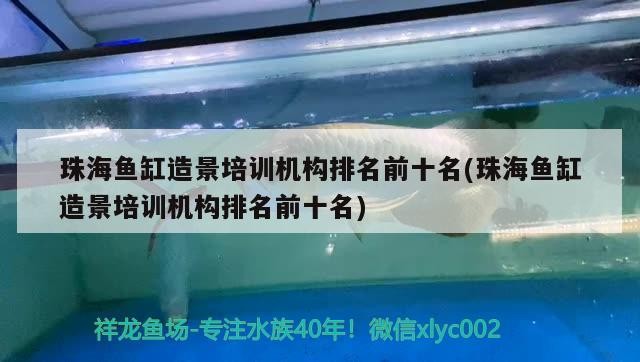 珠海魚缸造景培訓(xùn)機(jī)構(gòu)排名前十名(珠海魚缸造景培訓(xùn)機(jī)構(gòu)排名前十名)