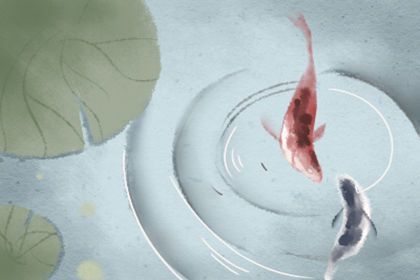 紅龍魚跳缸是吉還是兇：紅龍魚跳缸是吉兆嗎 紅龍魚跳缸是吉還是兇：紅龍魚跳缸是吉兆嗎 紅龍魚百科 第4張