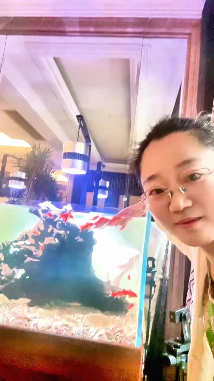 魚缸里的大自然