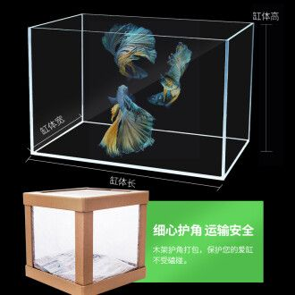 超白玻璃小魚缸好不好：超白玻璃小魚缸優(yōu)缺點分析