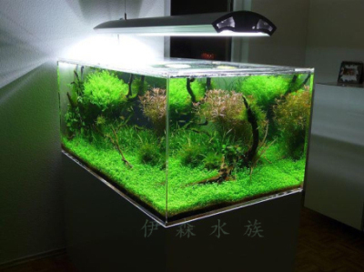 森森實體店（森森實體店價格）