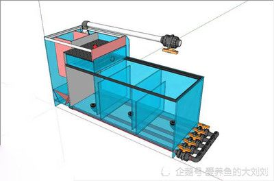 成品魚缸過濾系統結構圖：底濾魚缸工作原理