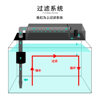 半圓柱魚缸過濾系統圖:半圓柱魚缸過濾系統圖解 魚缸百科 第1張 半圓柱魚缸過濾系統圖:半圓柱魚缸過濾系統圖解 半圓柱魚缸過濾系統圖:半圓柱魚缸過濾系統圖解 魚缸百科 第1張