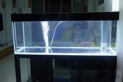 半圓柱魚缸過濾系統圖:半圓柱魚缸過濾系統圖解 魚缸百科 第4張 半圓柱魚缸過濾系統圖:半圓柱魚缸過濾系統圖解 半圓柱魚缸過濾系統圖:半圓柱魚缸過濾系統圖解 魚缸百科 第4張