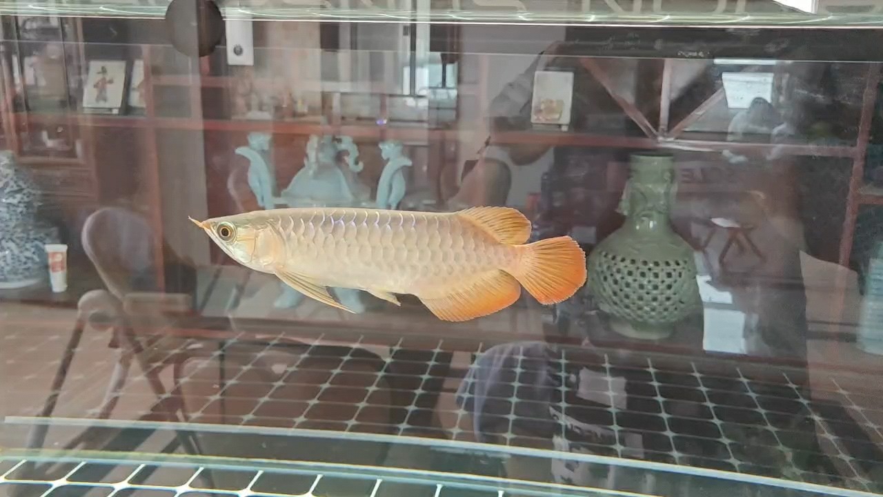 慢慢成長[ciya]