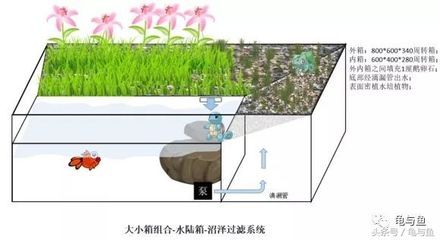 不用電的魚缸過濾水系統:尋找不用電的魚缸過濾水系統時可以參考以下幾種方法 魚缸百科 第1張 不用電的魚缸過濾水系統:尋找不用電的魚缸過濾水系統時可以參考以下幾種方法 不用電的魚缸過濾水系統:尋找不用電的魚缸過濾水系統時可以參考以下幾種方法 魚缸百科 第1張