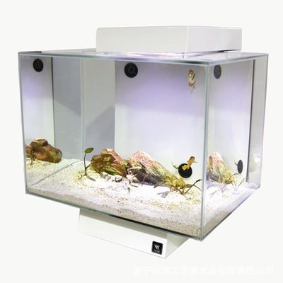 玻璃魚缸為什么這么貴：玻璃魚缸價格受多種因素影響，包括材料成本、運輸成本等 玻璃魚缸為什么這么貴：玻璃魚缸價格受多種因素影響，包括材料成本、運輸成本等 魚缸百科 第1張
