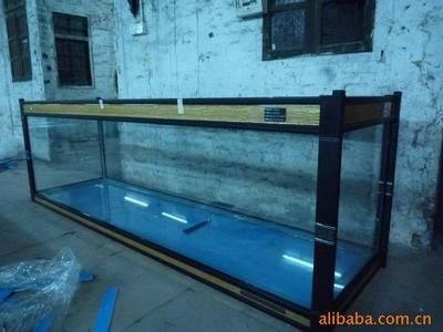 玻璃魚缸為什么這么貴：玻璃魚缸價格受多種因素影響，包括材料成本、運輸成本等 玻璃魚缸為什么這么貴：玻璃魚缸價格受多種因素影響，包括材料成本、運輸成本等 魚缸百科 第3張