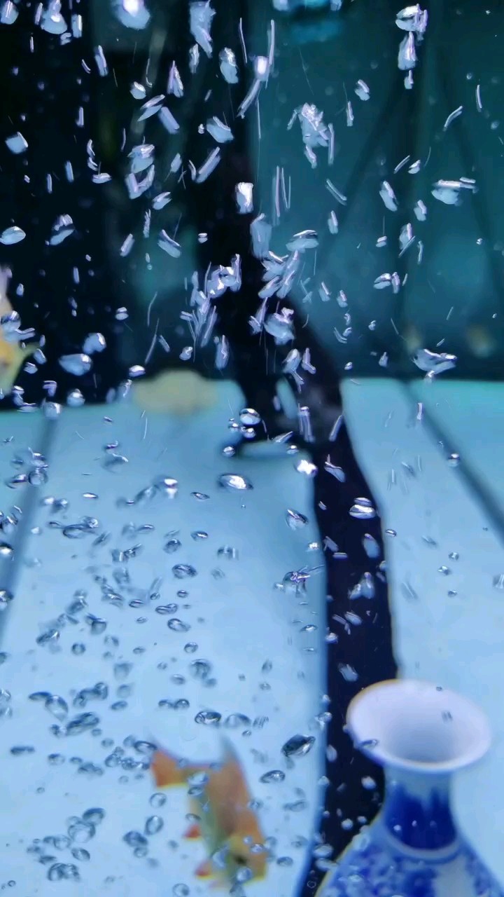 魚樂娛樂充實每一天