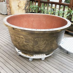 大魚缸上面可以放哪些盆栽：如何打造個性化的魚缸景觀 大魚缸上面可以放哪些盆栽：如何打造個性化的魚缸景觀 魚缸百科 第4張