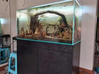 搬運魚缸用什么工具比較好看：搬魚缸工具推薦