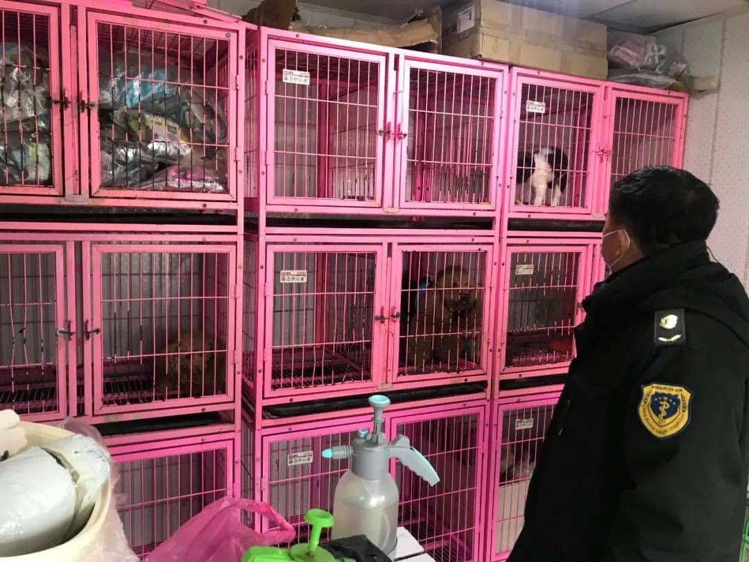 大瀝哪里有魚缸買賣店呢：佛山市南海區(qū)大瀝鎮(zhèn)多家店鋪提供魚缸買賣服務(wù)