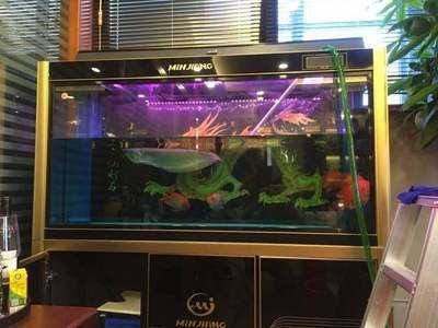 合肥瑤海區龍軒水族經營部（合肥瑤海區龍軒水族經營部地址）