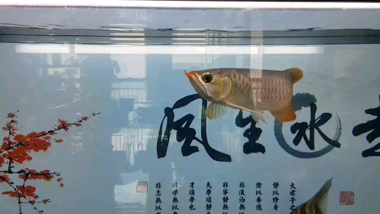 打個卡！