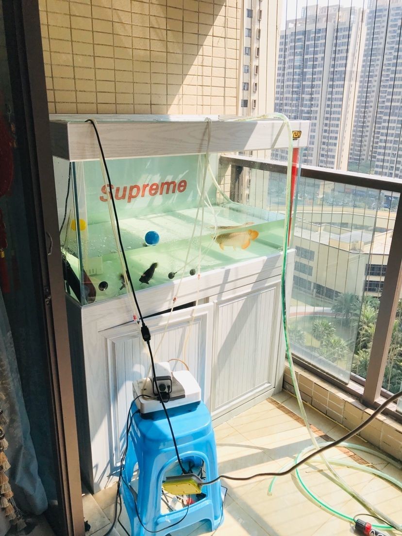 送貨安裝——佛山保利 虎魚百科 第4張 送貨安裝——佛山保利 送貨安裝——佛山保利 虎魚百科 第4張