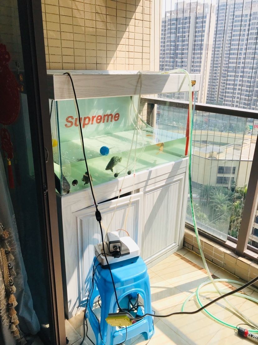 送貨安裝——佛山保利 虎魚百科 第5張 送貨安裝——佛山保利 送貨安裝——佛山保利 虎魚百科 第5張