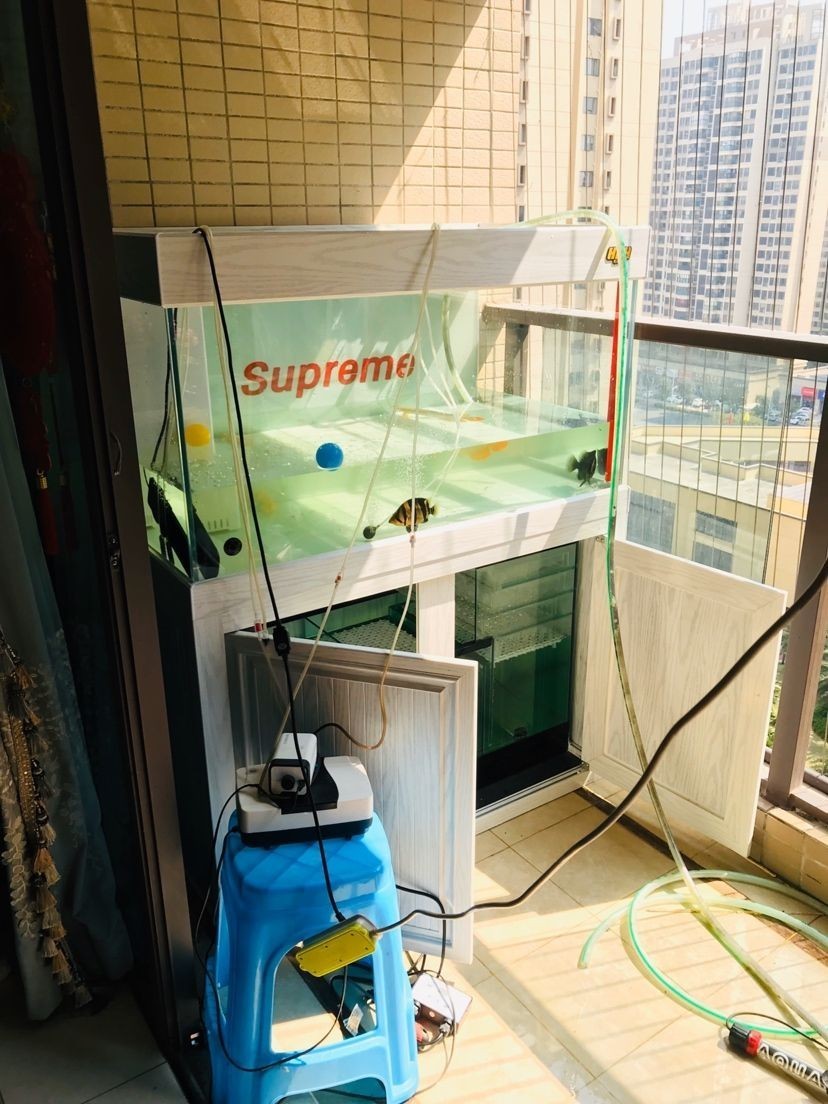 送貨安裝——佛山保利 虎魚百科 第7張 送貨安裝——佛山保利 送貨安裝——佛山保利 虎魚百科 第7張