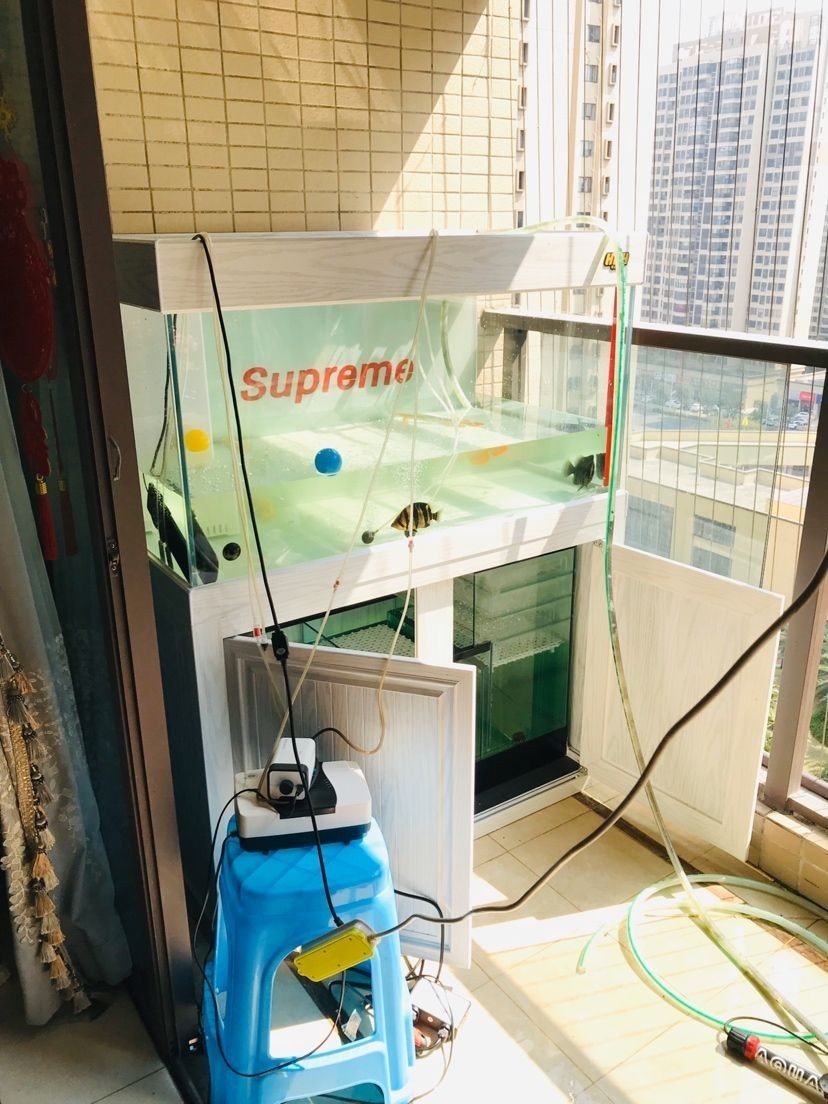 送貨安裝——佛山保利 虎魚百科 第8張 送貨安裝——佛山保利 送貨安裝——佛山保利 虎魚百科 第8張
