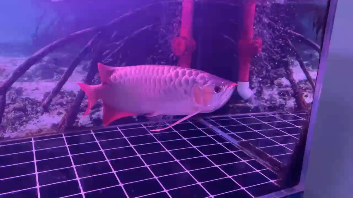 一年啦