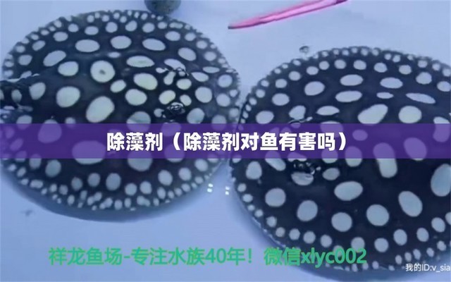 沁縣沁洲水族館（沁縣沁洲水族館電話）