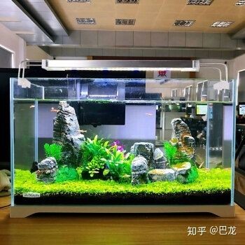 森森官方旗艦店魚缸：森森官方旗艦店售賣森森品牌魚缸及相關產品的關鍵信息