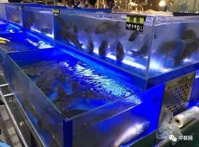 超市用水產養殖魚缸好嗎 超市用水產養殖魚缸好嗎 魚缸百科 第2張