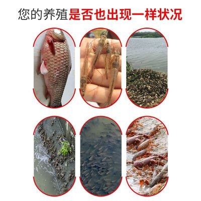 超市用水產養殖魚缸好嗎 超市用水產養殖魚缸好嗎 魚缸百科 第3張
