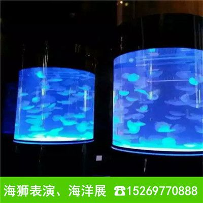 搬個(gè)魚缸多少錢一天：搬個(gè)魚缸的費(fèi)用主要取決于魚缸的大小、搬家公司提供的服務(wù)以及是否有特殊要求