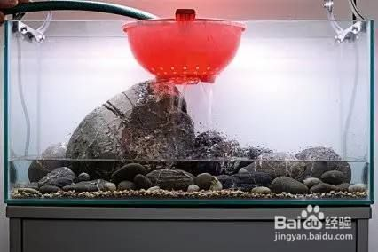大魚缸怎么消毒開缸：大魚缸消毒開缸方法