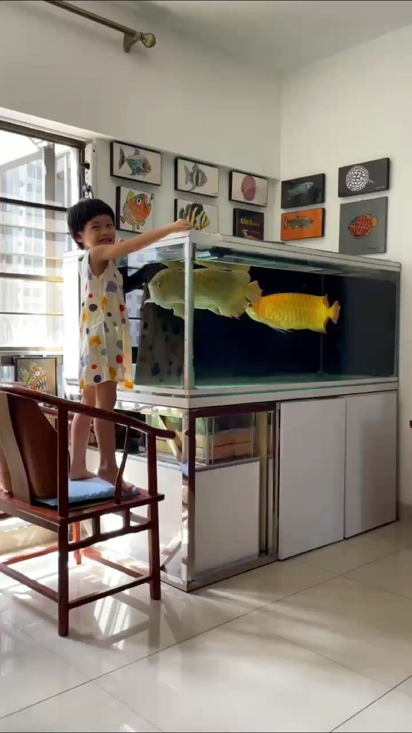 我喜歡治本的養魚方法，你呢？ 我喜歡治本的養魚方法，你呢？ 龍魚論壇