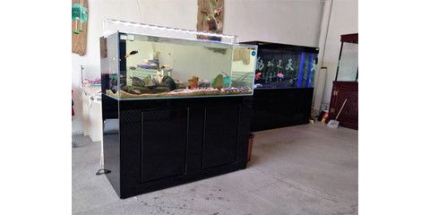 定做魚缸幾天發貨：定做魚缸的發貨時間會從哪些因素而有所不同？ 定做魚缸幾天發貨：定做魚缸的發貨時間會從哪些因素而有所不同？ 魚缸百科 第1張