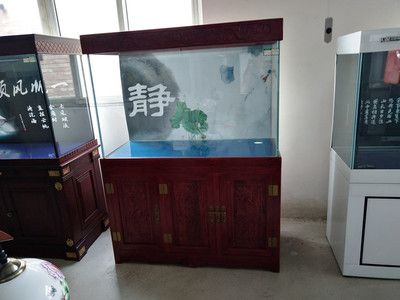 定做魚缸幾天發貨：定做魚缸的發貨時間會從哪些因素而有所不同？ 定做魚缸幾天發貨：定做魚缸的發貨時間會從哪些因素而有所不同？ 魚缸百科 第3張