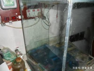 玻璃魚缸突然爆裂什么原因:玻璃魚缸爆裂的原因及預防措施