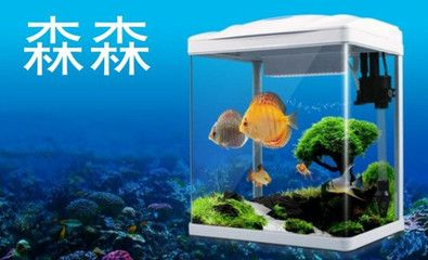 yijing魚缸怎么樣：魚缸擺放的注意事項在擺放魚缸時需要注意以下幾點